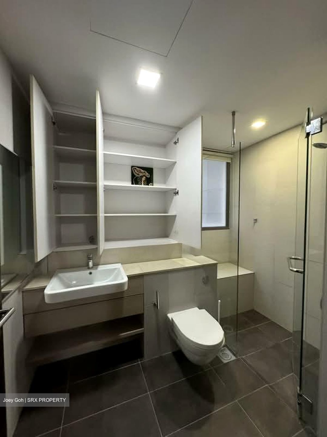 Terrene At Bukit Timah (D21), Condominium #602353421